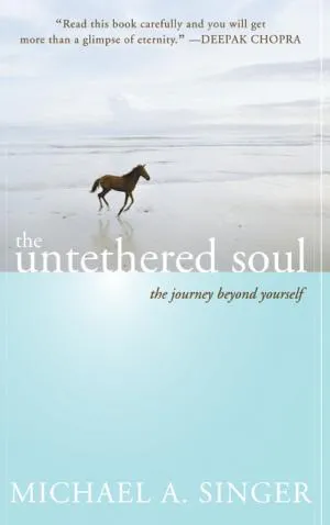 Michael Alan Singer: The Untethered Soul